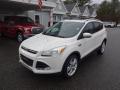2016 Escape Titanium 4WD #3