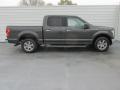  2016 Ford F150 Magnetic #3