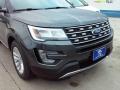 2016 Explorer XLT #3 2016 Explorer XLT #3