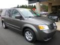 2010 Grand Caravan SXT #8