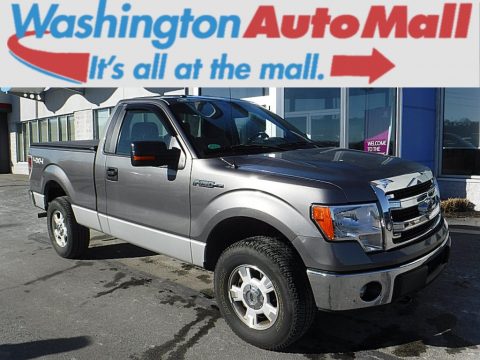 Sterling Grey Ford F150 XLT Regular Cab 4x4.  Click to enlarge.