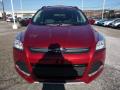 2016 Escape SE 4WD #8