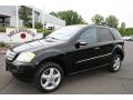 2008 ML 350 4Matic #1