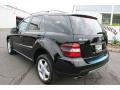 2008 ML 350 4Matic #7