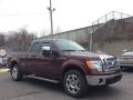 Front 3/4 View of 2010 Ford F150 XLT SuperCab 4x4 #3