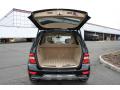 2009 ML 550 4Matic #19