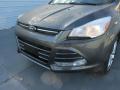 2016 Escape SE #10 2016 Escape SE #10