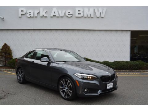 Mineral Grey Metallic BMW 2 Series 228i xDrive Coupe.  Click to enlarge.
