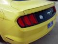 2016 Mustang EcoBoost Coupe #10 2016 Mustang EcoBoost Coupe #10
