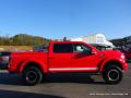 2016 F150 Shelby Cobra Edtion SuperCrew 4x4 #6