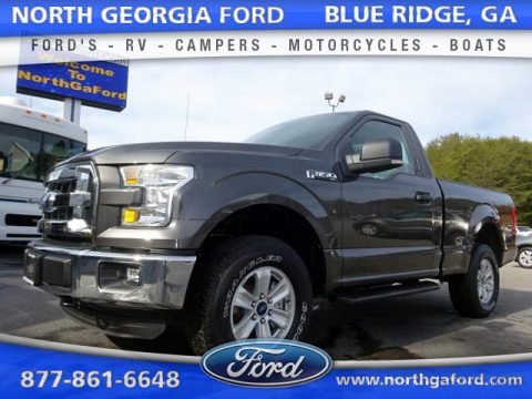 Magnetic Ford F150 XLT Regular Cab 4x4.  Click to enlarge.
