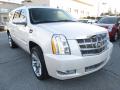 2013 Escalade ESV Platinum AWD #8