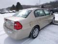 2006 Malibu LS Sedan #7