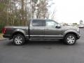 2016 Ford F150 Magnetic #2