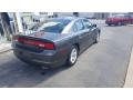 2014 Charger SE #3