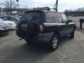 1999 RAV4 4WD #5 1999 RAV4 4WD #5
