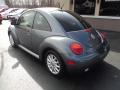 2004 New Beetle GLS Coupe #2