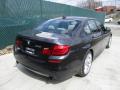 2013 5 Series 535i xDrive Sedan #4