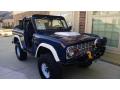 1972 Ford Bronco Sport Wagon Blue