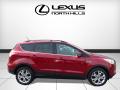 2013 Escape SEL 2.0L EcoBoost 4WD #2 2013 Escape SEL 2.0L EcoBoost 4WD #2