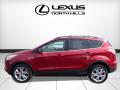 2013 Escape SEL 2.0L EcoBoost 4WD #3 2013 Escape SEL 2.0L EcoBoost 4WD #3