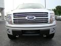 2009 F150 Platinum SuperCrew 4x4 #7