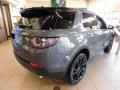 2016 Discovery Sport HSE Luxury 4WD #6