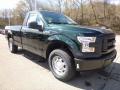 Front 3/4 View of 2016 Ford F150 XL Regular Cab 4x4 #10