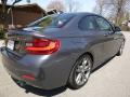 2015 2 Series M235i Coupe #5