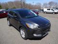 2016 Escape SE 4WD #1