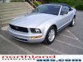 2007 Mustang V6 Deluxe Convertible #7