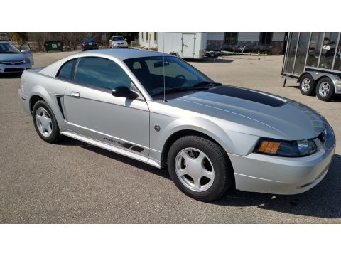 Silver Metallic Ford Mustang V6 Coupe.  Click to enlarge.