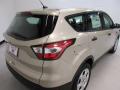 2017 Escape S #10 2017 Escape S #10