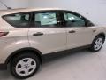 2017 Escape S #11 2017 Escape S #11