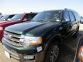 Front 3/4 View of 2016 Ford Expedition EL King Ranch #2 Front 3/4 View of 2016 Ford Expedition EL King Ranch #2