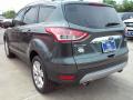 2016 Escape Titanium #8