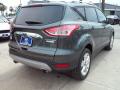 2016 Escape Titanium #10