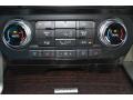 2016 F150 Platinum SuperCrew 4x4 #19
