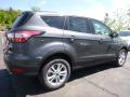  2017 Ford Escape Magnetic #2