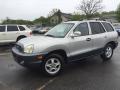 2003 Santa Fe GLS #8