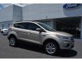 2017 Escape SE #1 2017 Escape SE #1