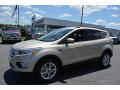 2017 Escape SE #3 2017 Escape SE #3