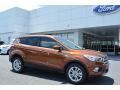 2017 Escape SE #1 2017 Escape SE #1