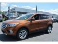 2017 Escape SE #3 2017 Escape SE #3