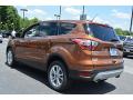 2017 Escape SE #19 2017 Escape SE #19