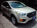 2017 Escape S #1 2017 Escape S #1