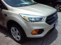 2017 Escape S #2 2017 Escape S #2