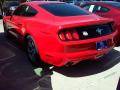 2016 Mustang V6 Coupe #13