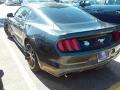 2016 Mustang EcoBoost Coupe #8