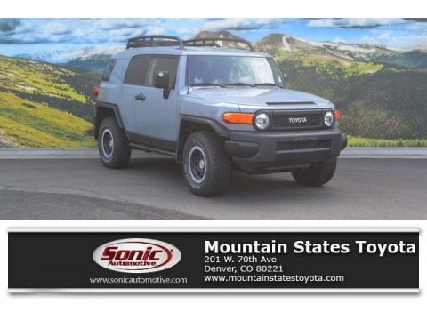 Trail Teams Cement Gray Toyota FJ Cruiser 4WD.  Click to enlarge.